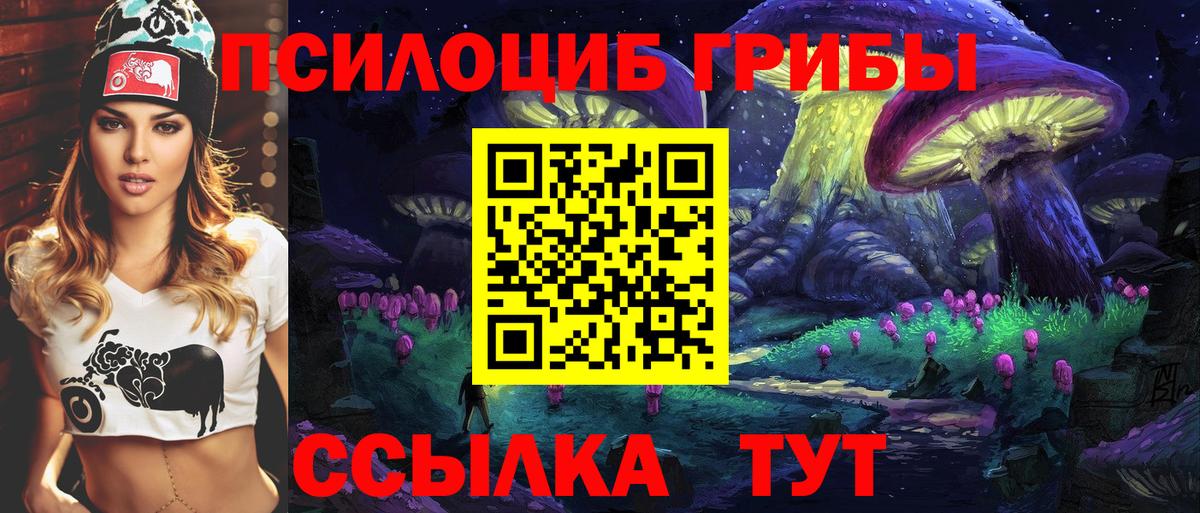 Туймазы  Псилоцибиновые грибы GOLDEN TEACHER  наркота  Вход с VPN 