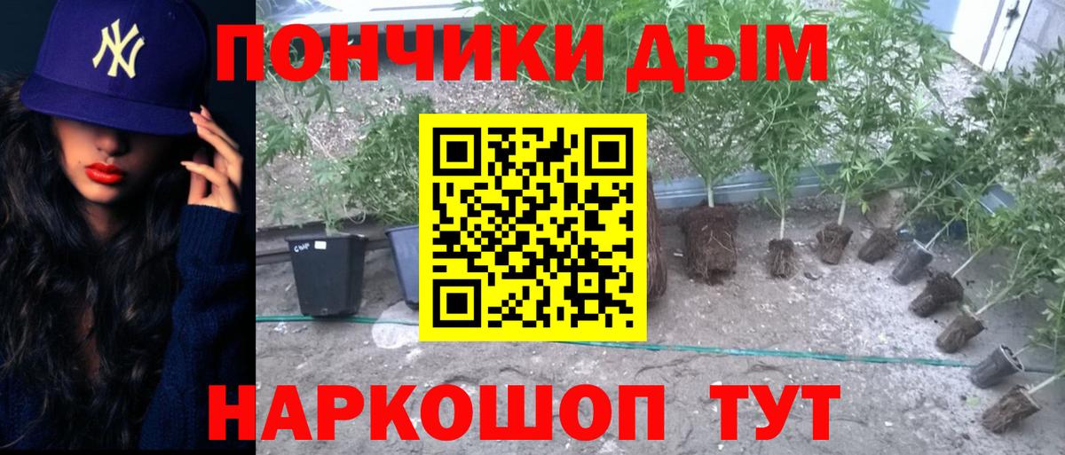 Марихуана гибрид  Вход с VPN  Конопля конопля  Туймазы  Канабис тримм 